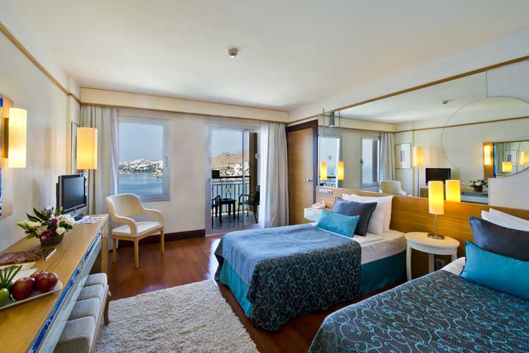 Standart Oda görsel 2